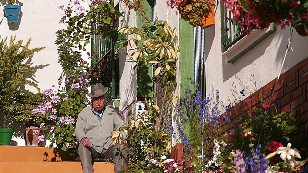 Photo of Others in Torrox