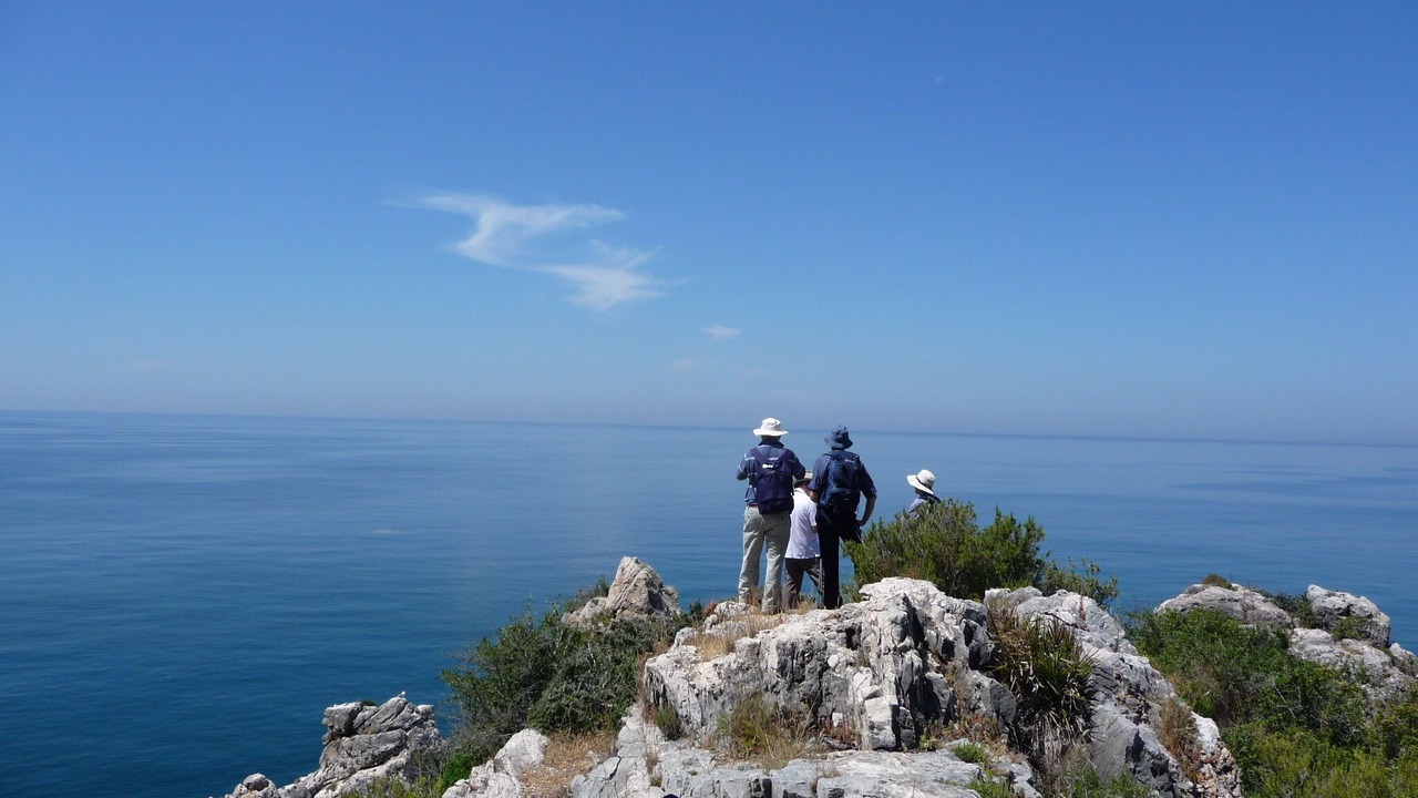 Photo of Others in Torrox