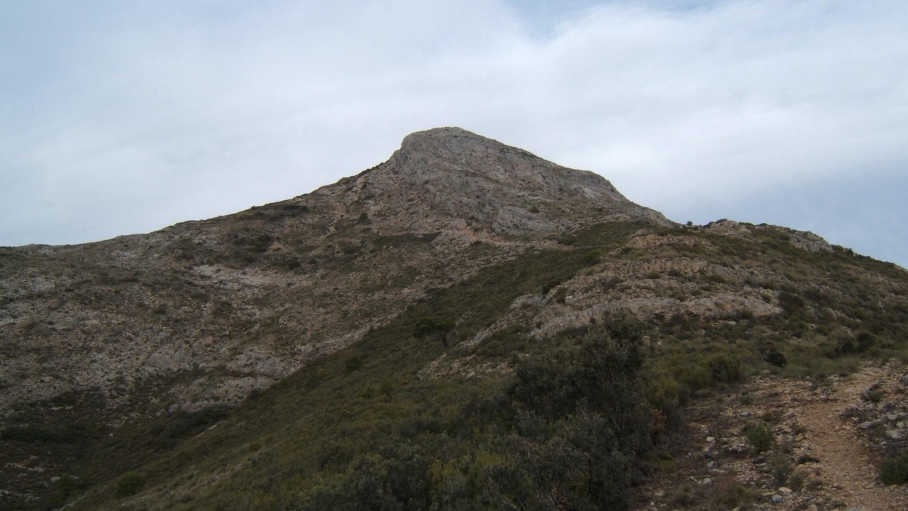 Photo of Others in Torrox