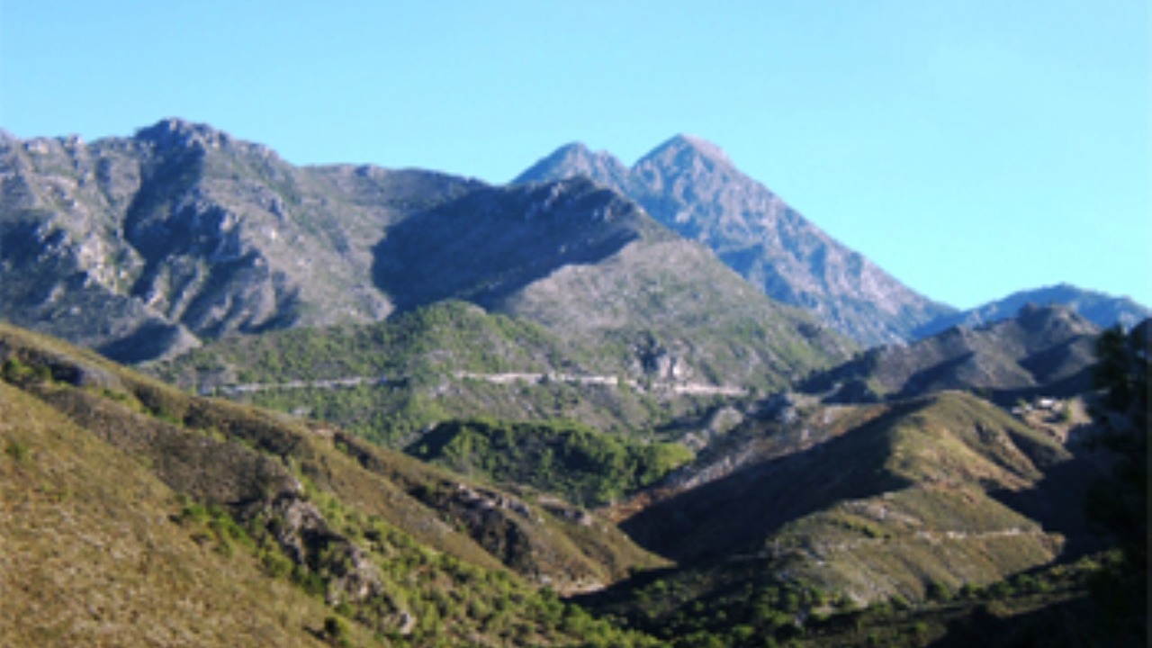 Photo of Others in Torrox