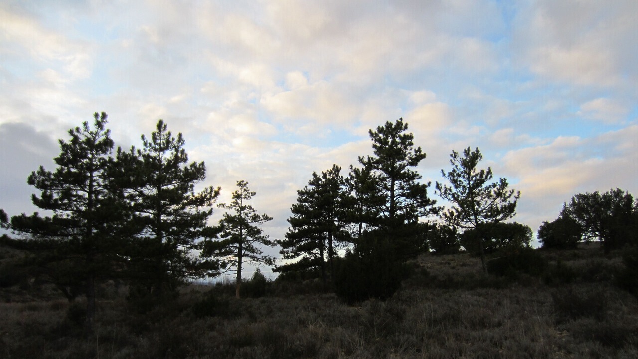Photo of Outdoor in Gea de Albarracin