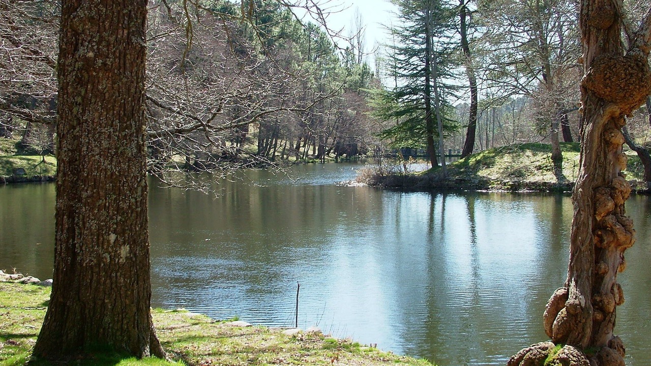 Photo of Outdoor in Las Navas Del Marques