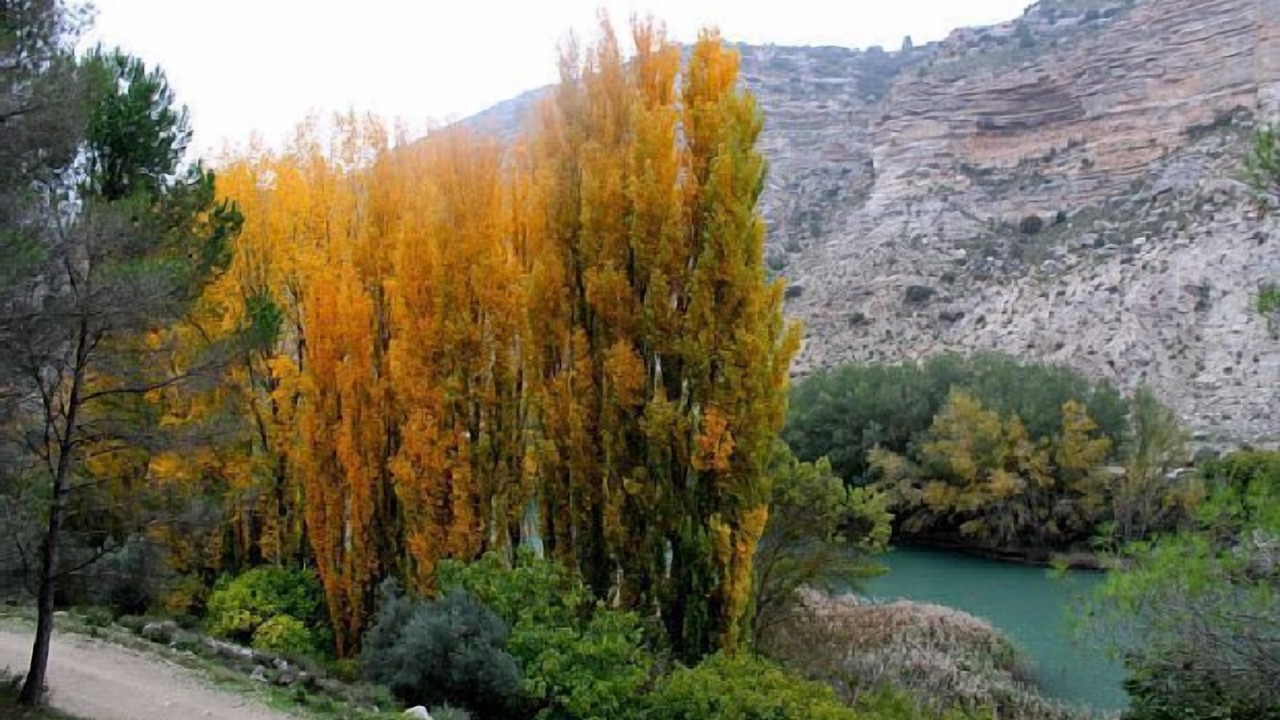 Photo of Outdoor in La Gila