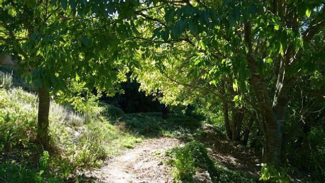 Photo of Outdoor in La Gila