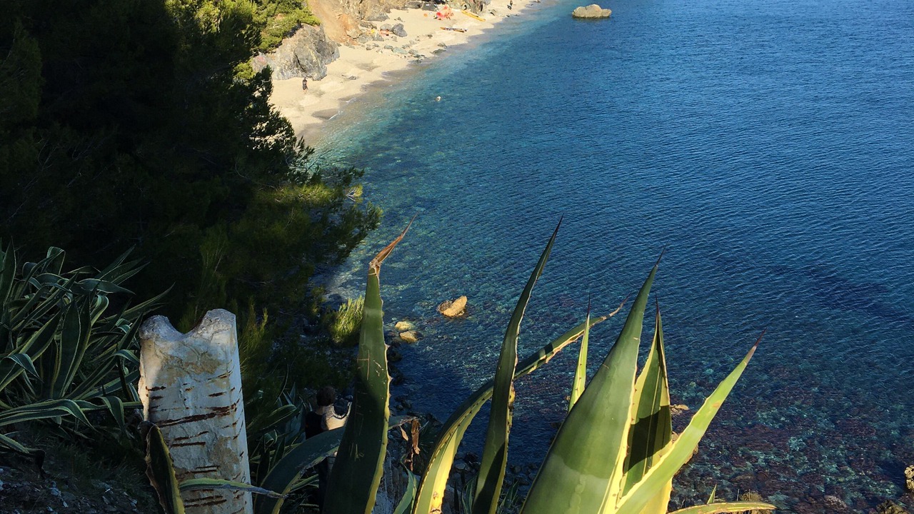 Photo of Others in Les Sablettes
