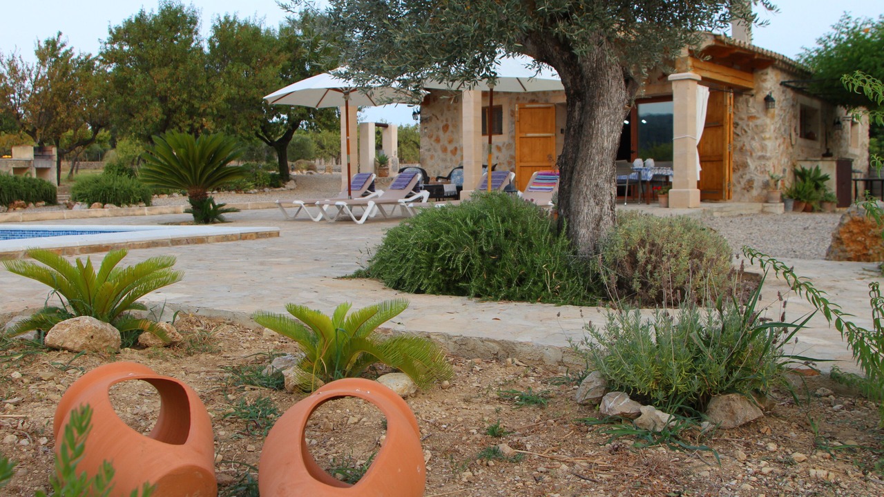 Photo of Outdoor in Selva