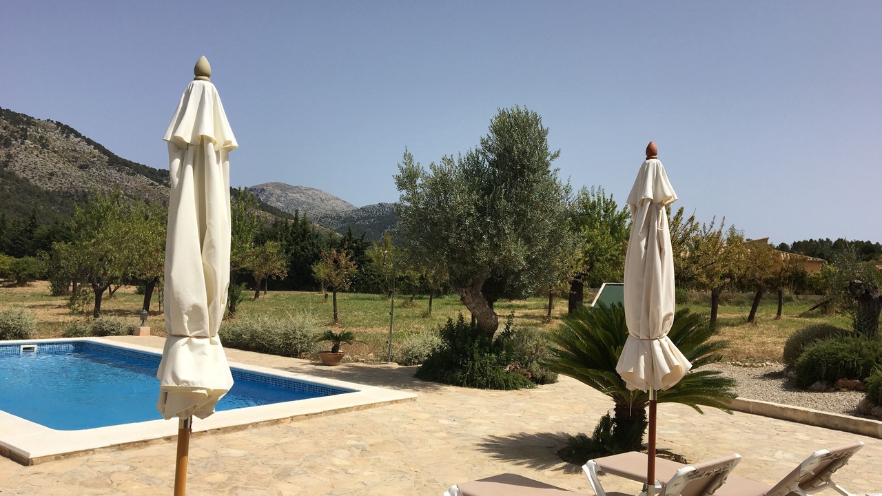Photo of Outdoor in Selva