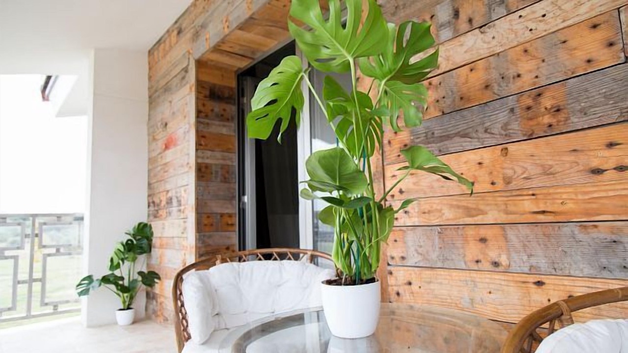 Photo of Outdoor in Aldea del Fresno