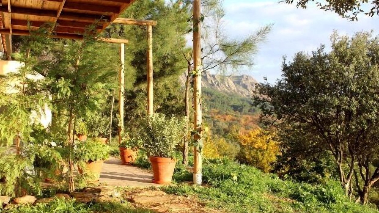Photo of Outdoor in Berzocana