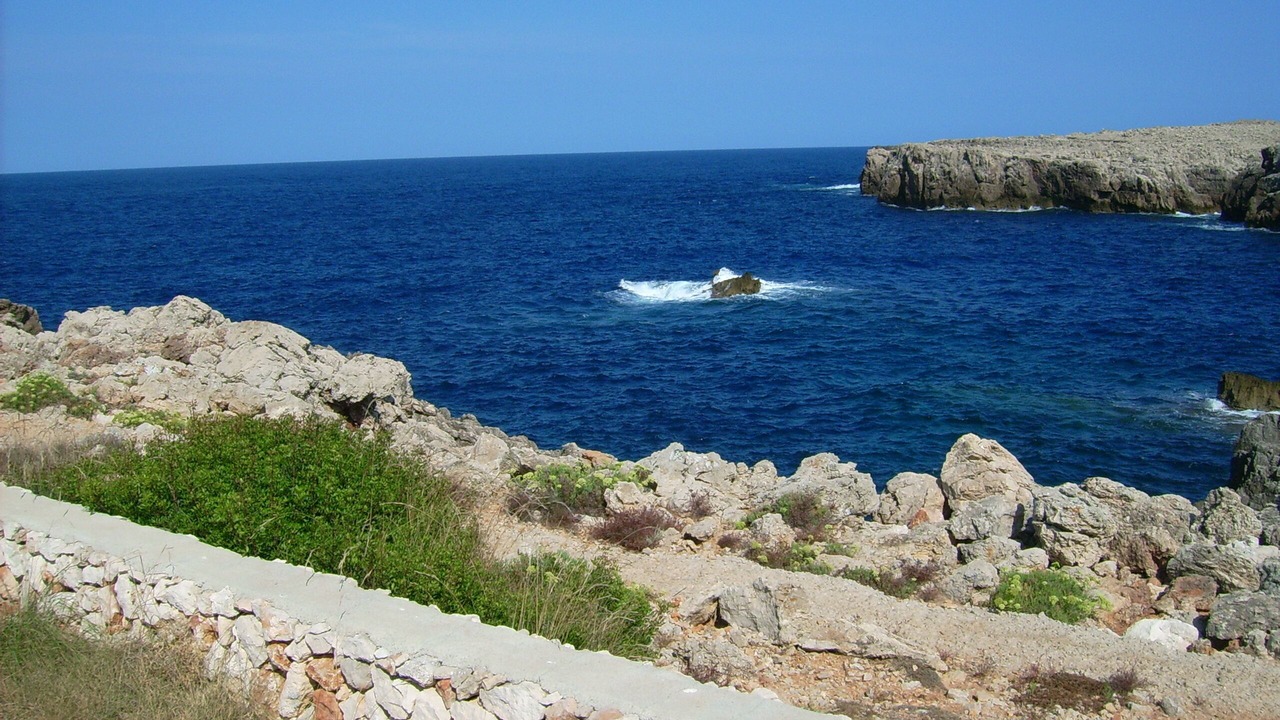 Photo of Others in Punta Grossa