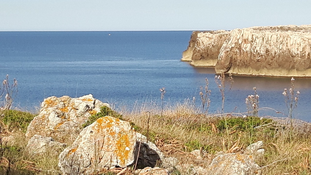 Photo of Others in Punta Grossa