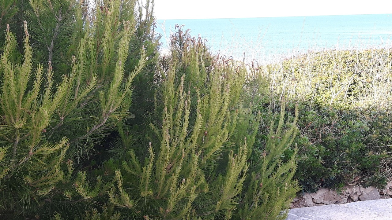 Photo of Outdoor in Punta Grossa