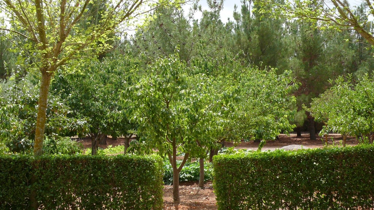 Photo of Outdoor in Almansa