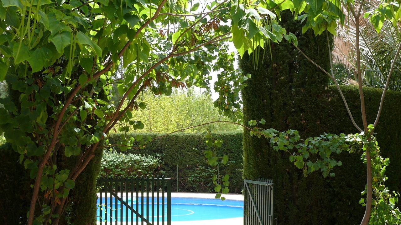 Photo of Outdoor in Almansa