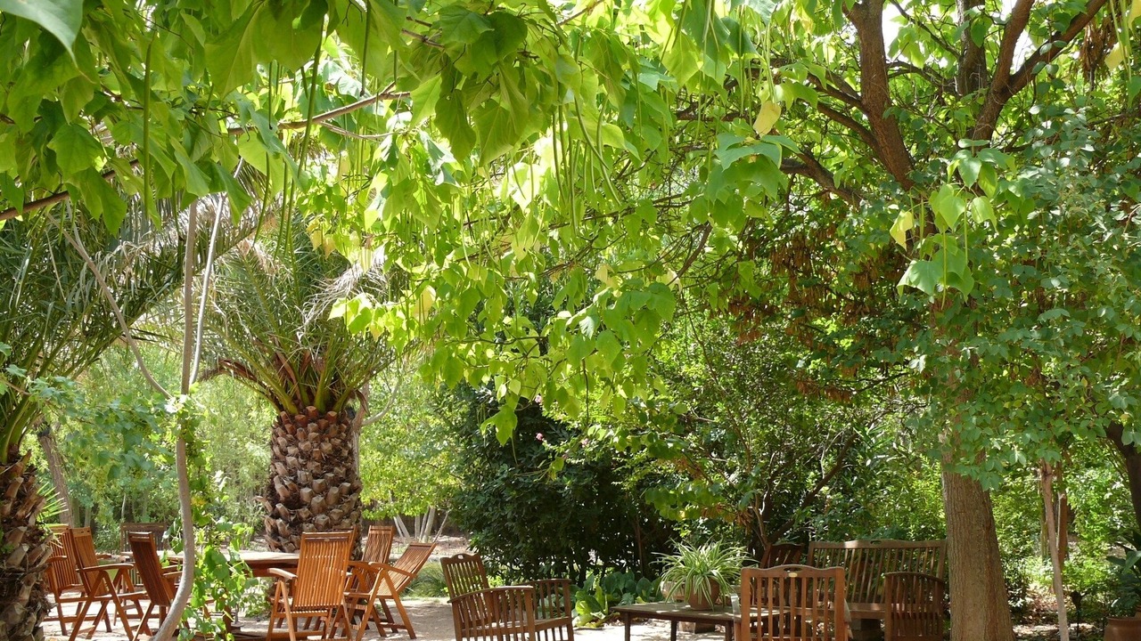 Photo of Outdoor in Almansa