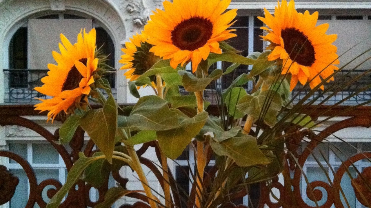 Photo of Outdoor in Les Cordeliers