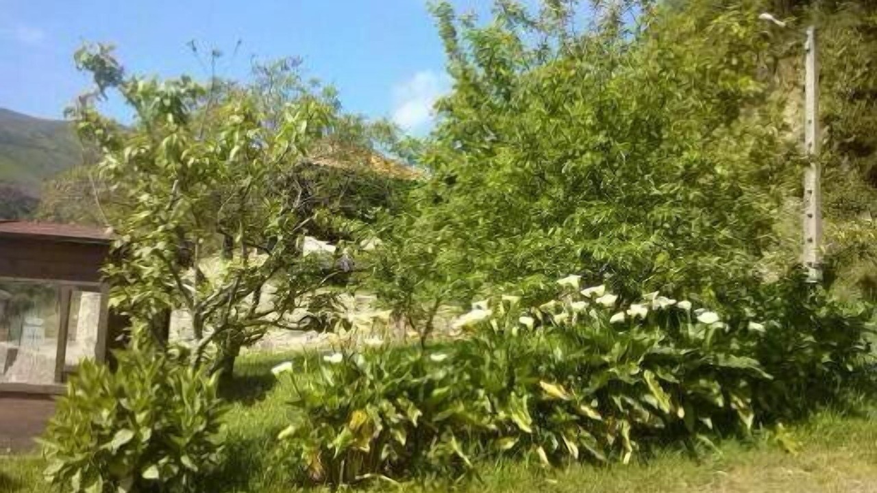 Photo of Outdoor in San Pedro de la Ribera