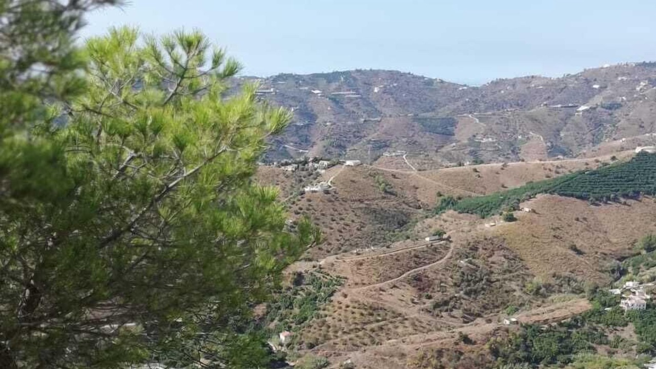 Photo of Outdoor in Frigiliana