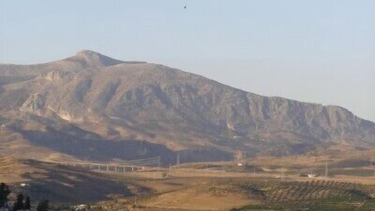 Photo of Others in Alora