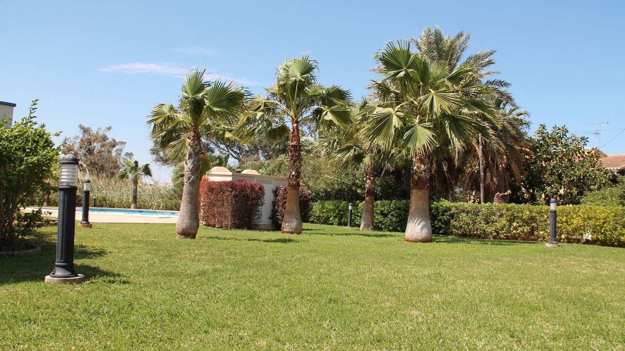 Photo of Outdoor in Denia