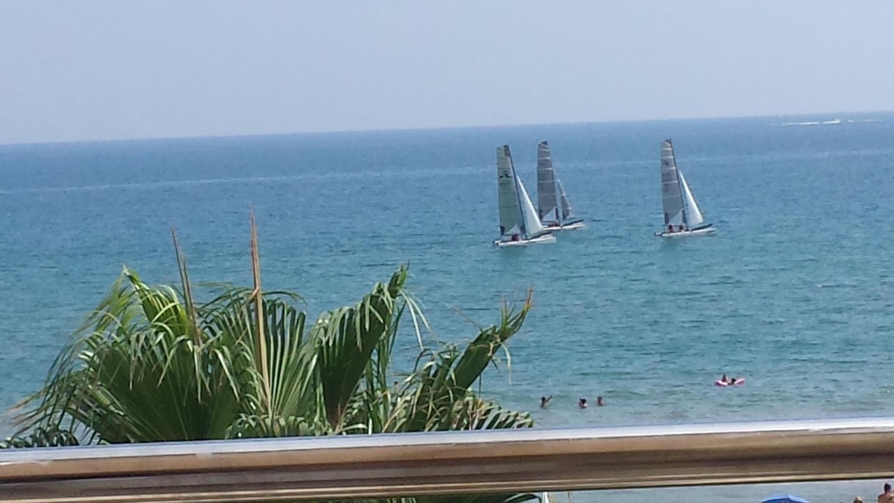 Photo of Others in Molinell