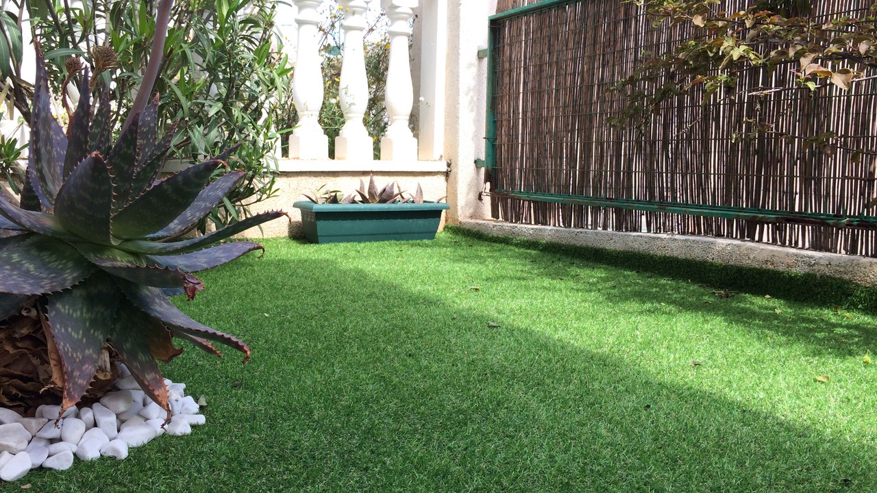 Photo of Outdoor in Los Altos