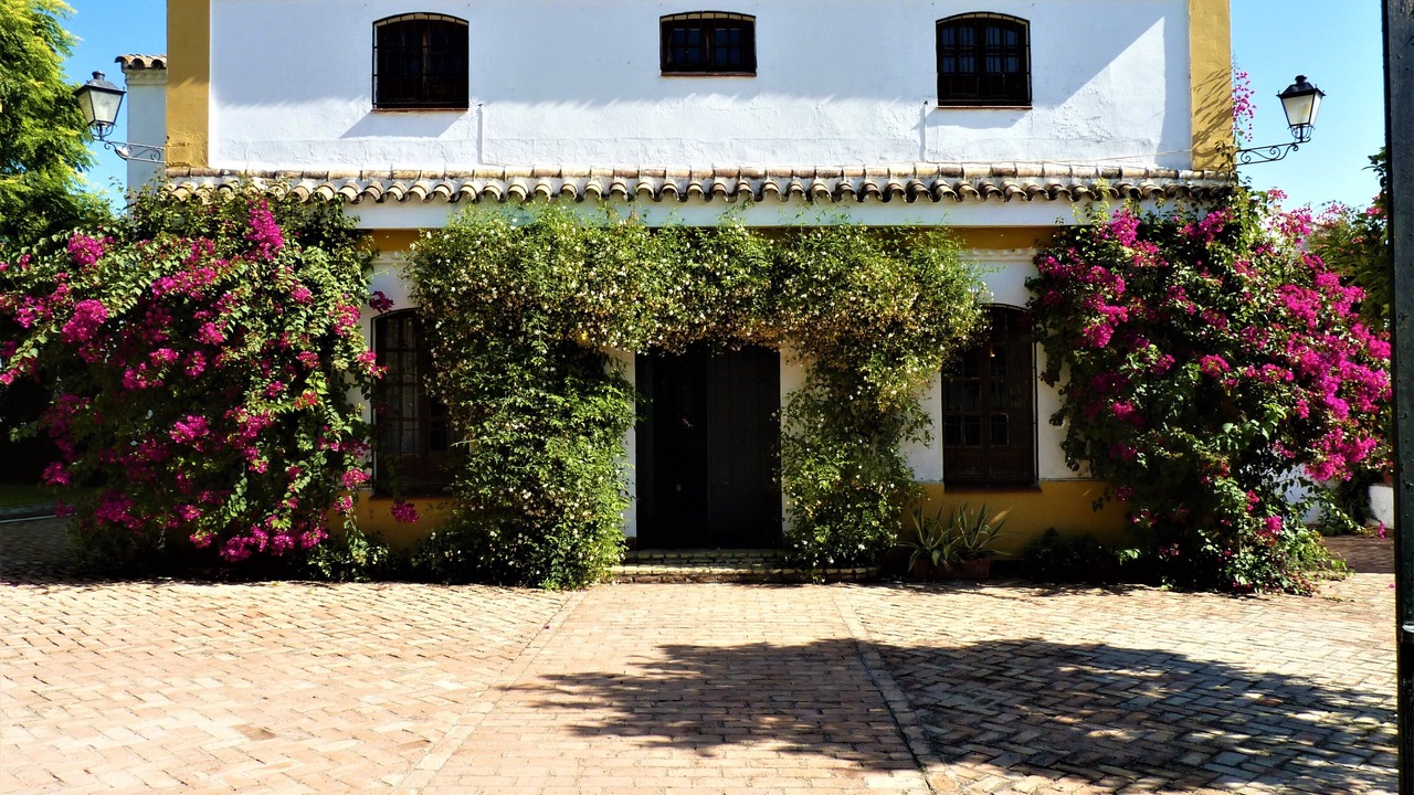 Photo of Outdoor in Coria del Rio