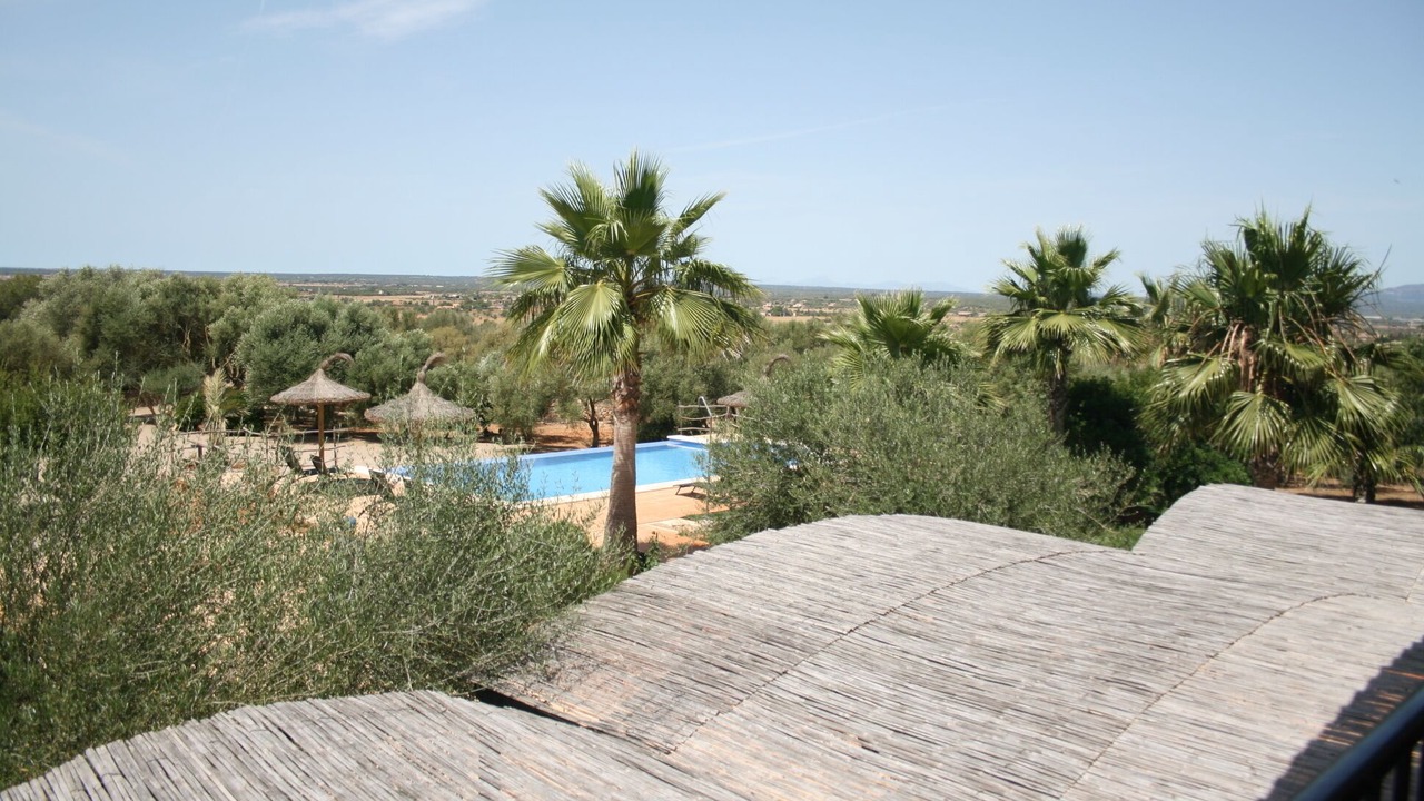 Photo of Outdoor in Campos