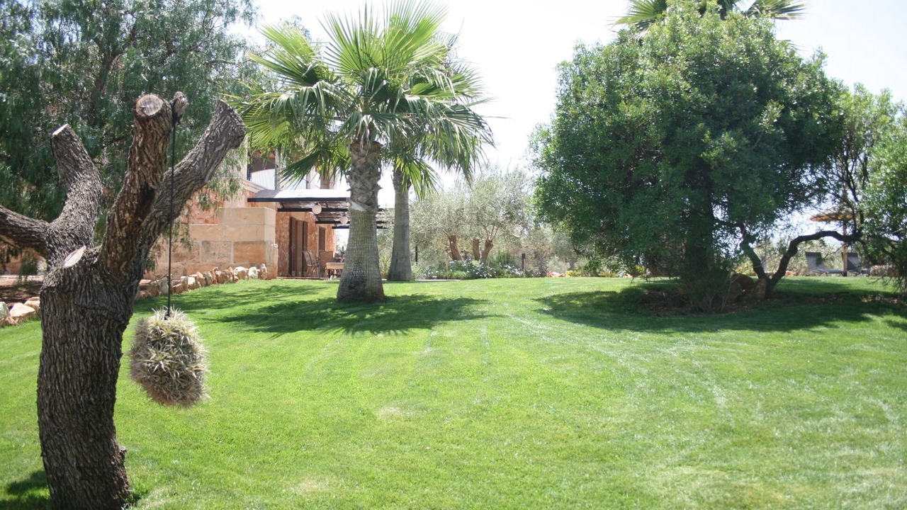 Photo of Outdoor in Campos