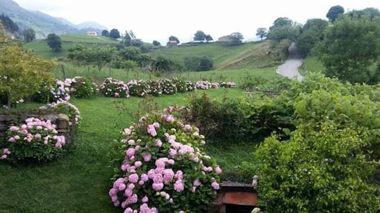 Photo of Outdoor in Cavandi