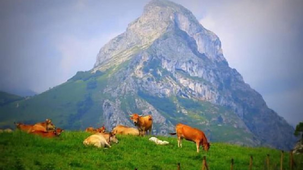 Photo of Outdoor in Cavandi
