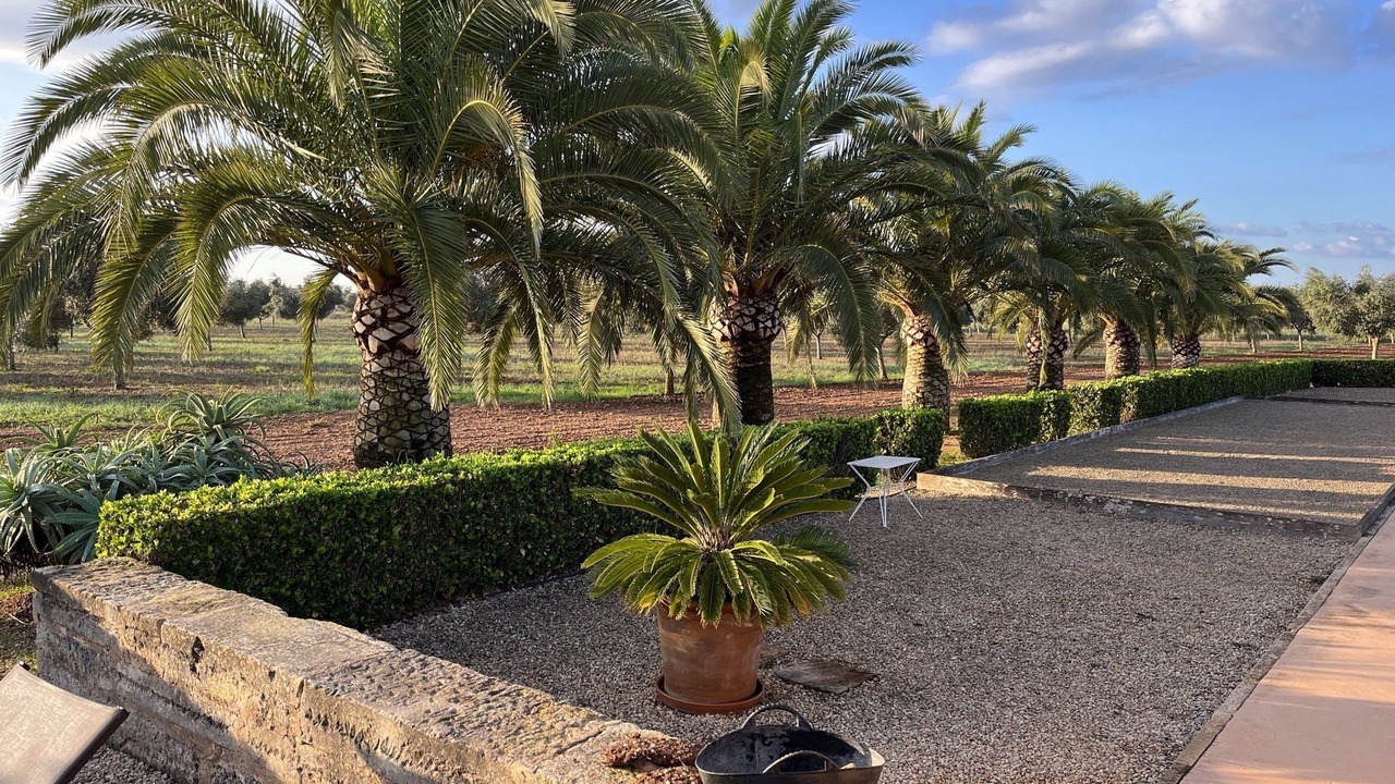 Photo of Outdoor in Campos