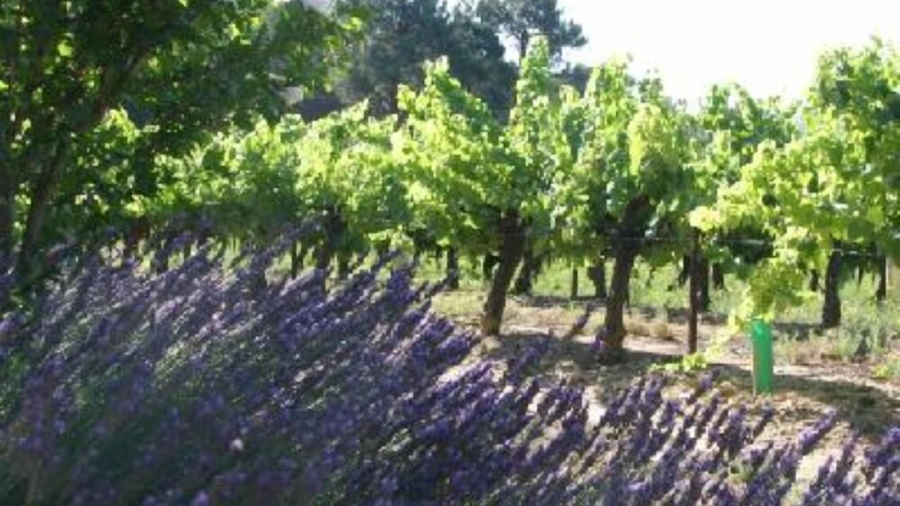 Photo of Outdoor in Bollene