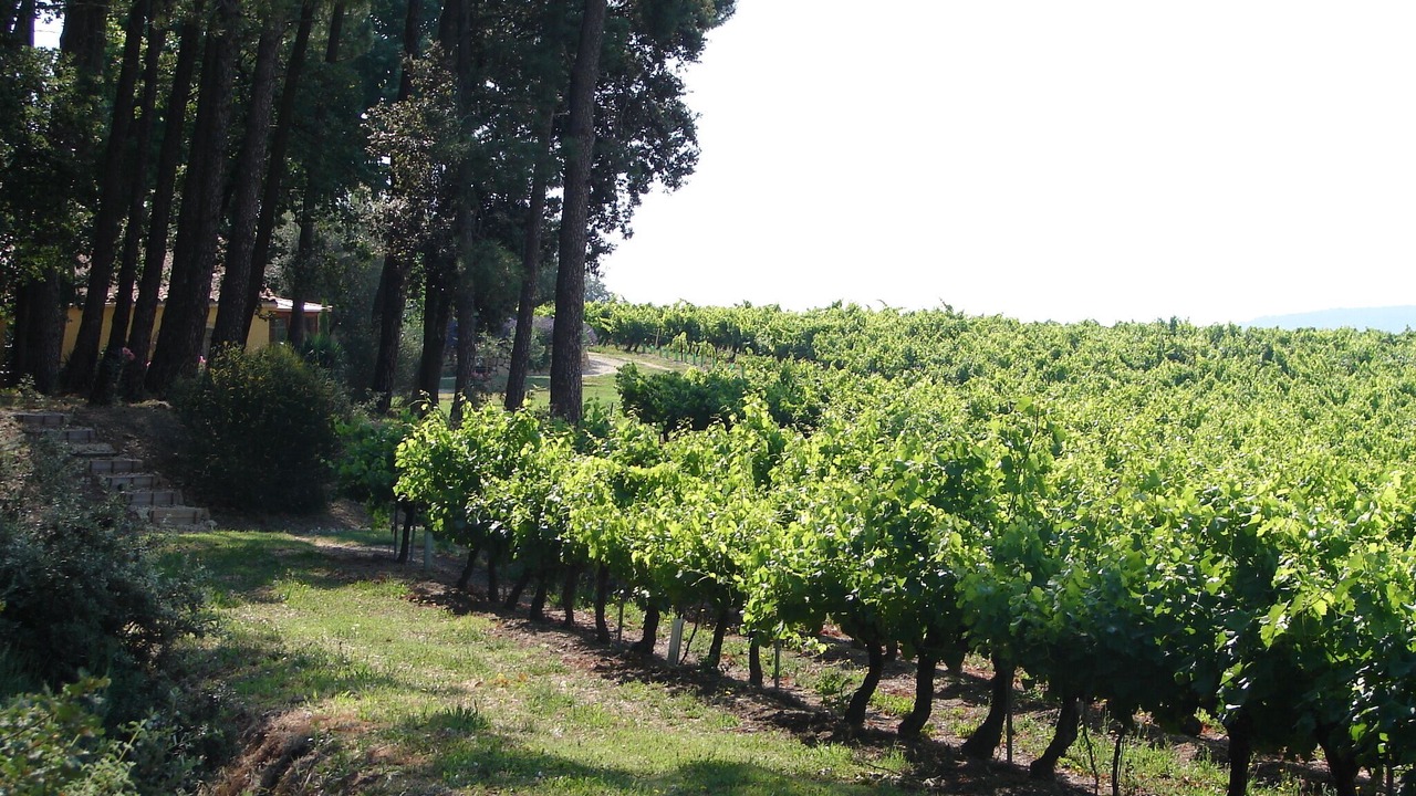 Photo of Outdoor in Bollene