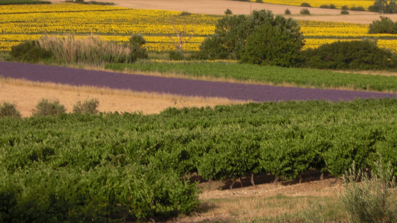 Photo of Outdoor in Bollene