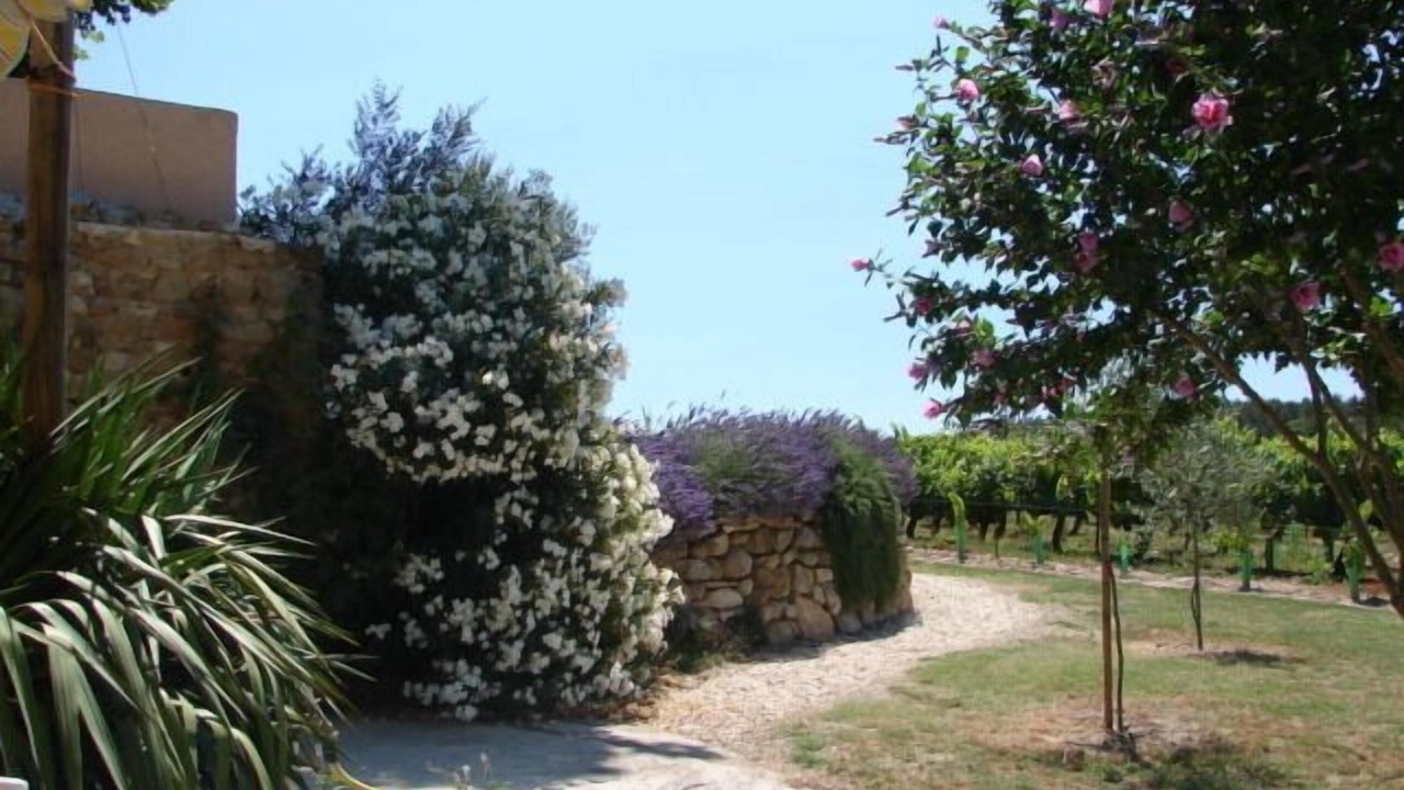 Photo of Outdoor in Bollene