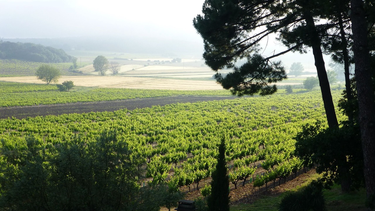 Photo of Outdoor in Bollene