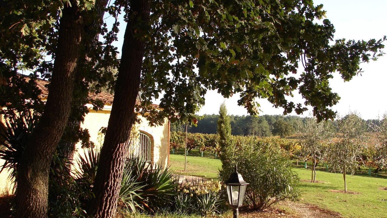 Photo of Outdoor in Bollene