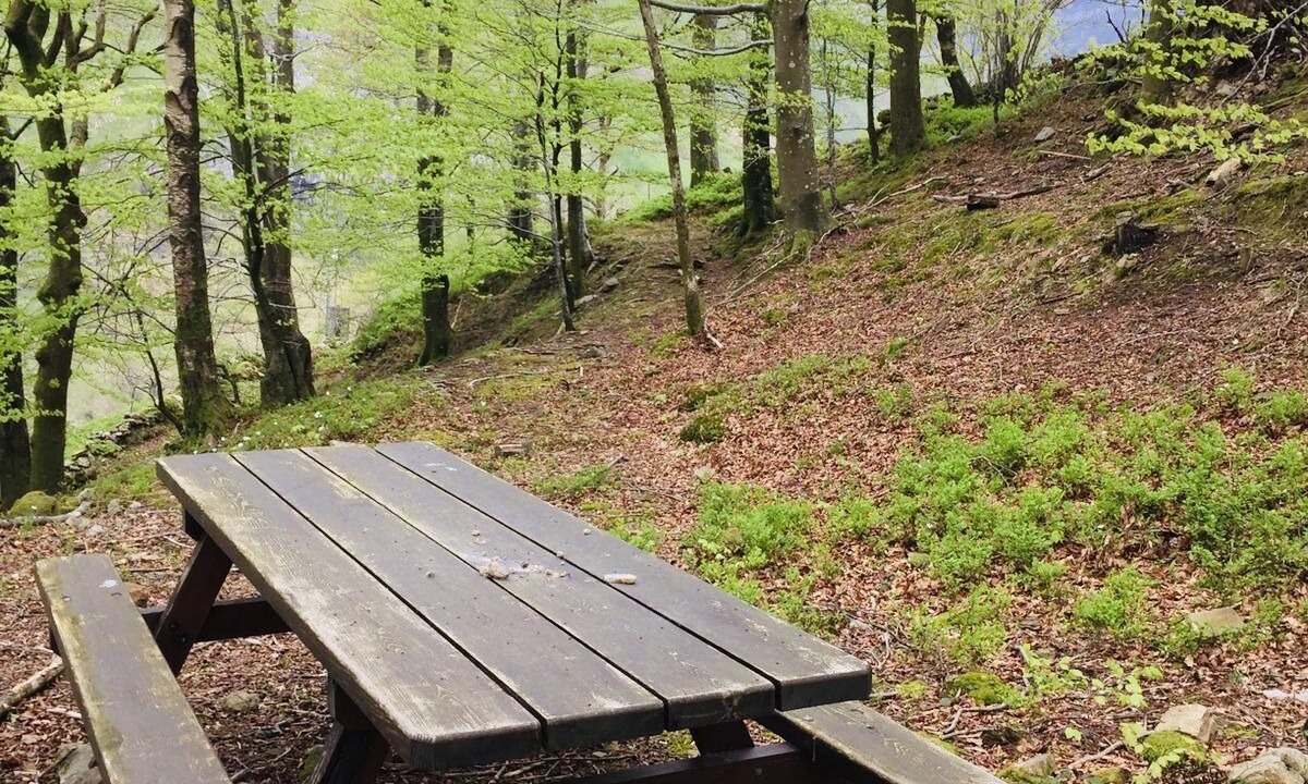 Photo of Outdoor in San Roque de Riomiera
