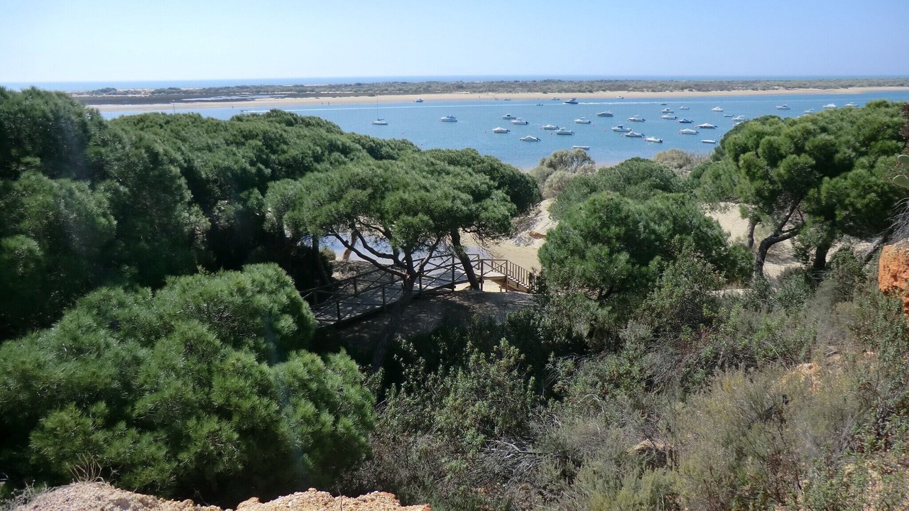 Photo of Others in El Portil