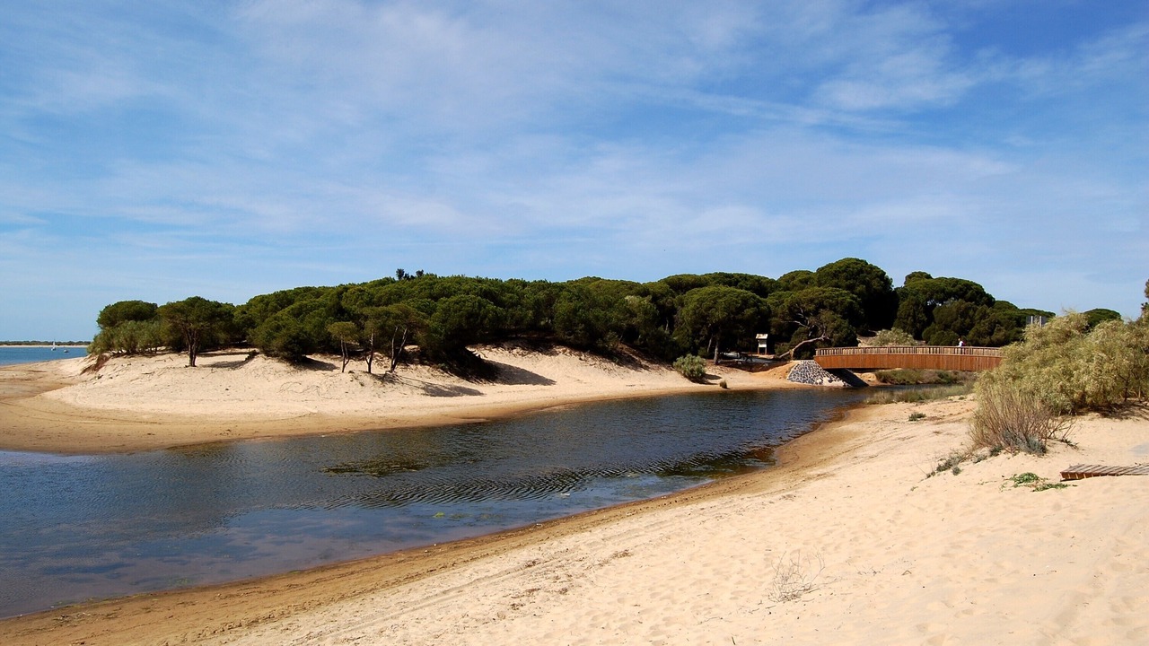 Photo of Others in El Portil