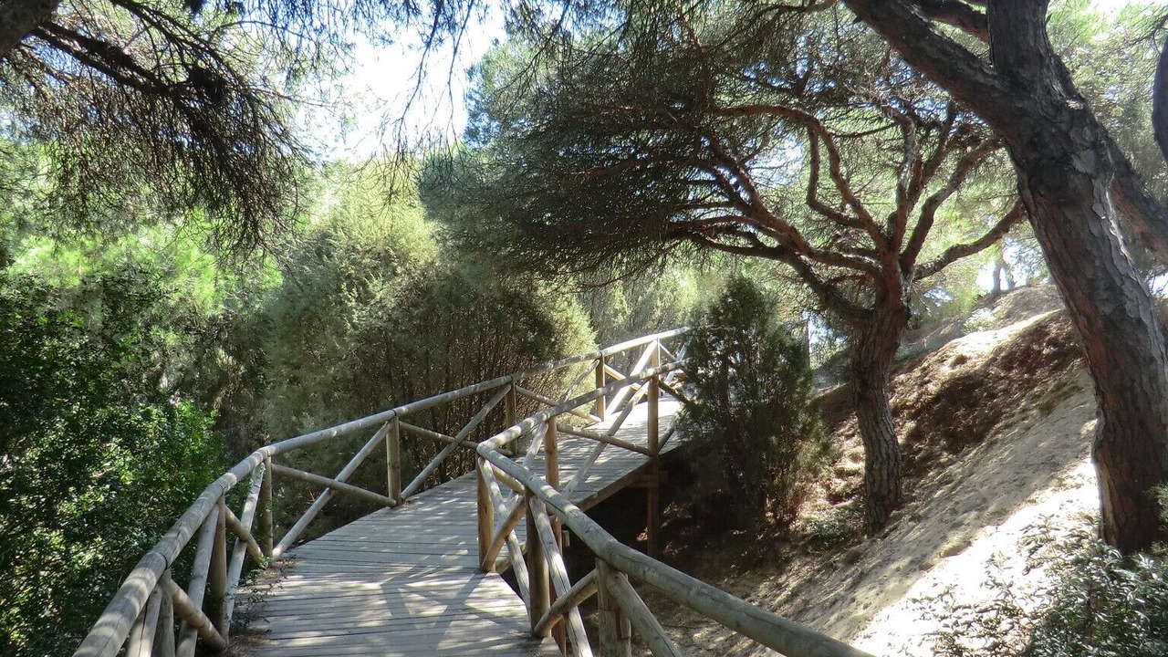 Photo of Outdoor in El Portil