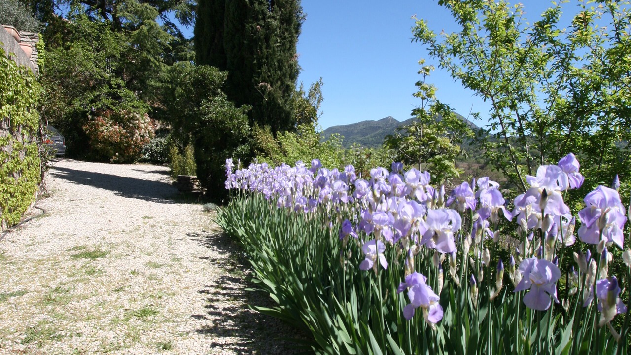 Photo of Others in Mirabel-aux-Baronnies