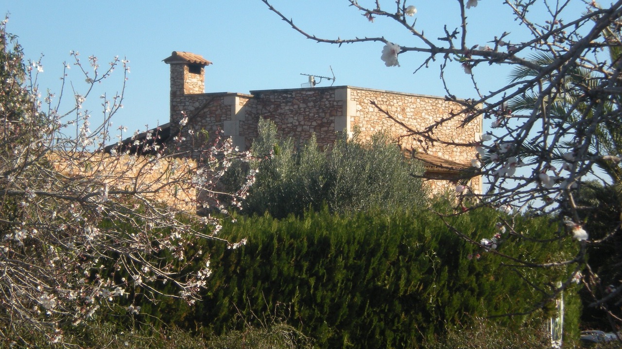 Photo of Outdoor in Felanitx