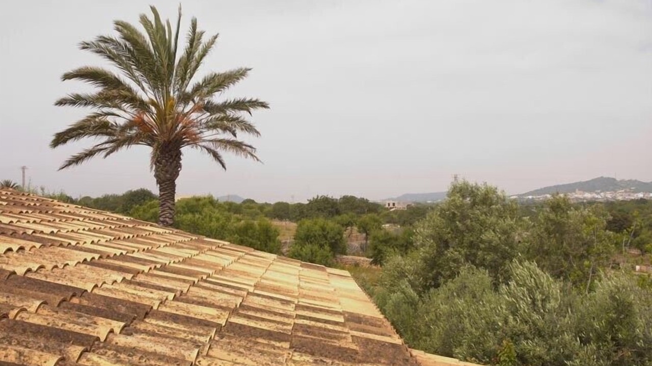 Photo of Outdoor in Felanitx