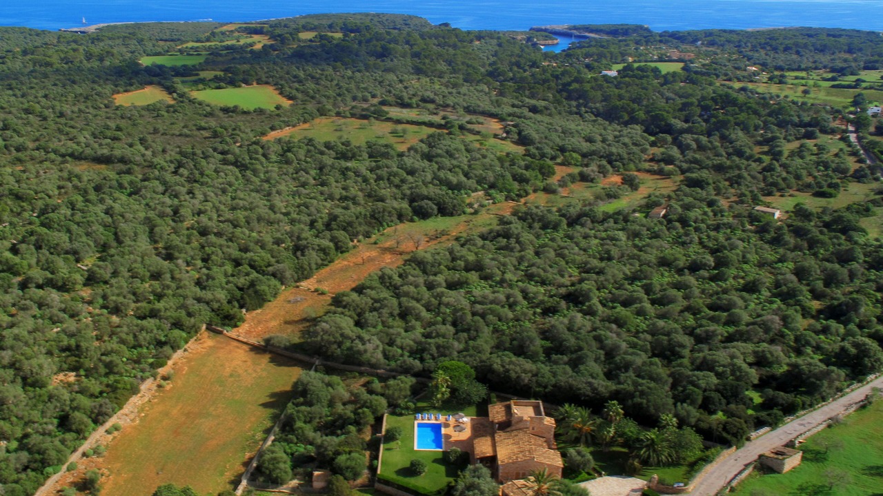 Photo of Outdoor in Felanitx