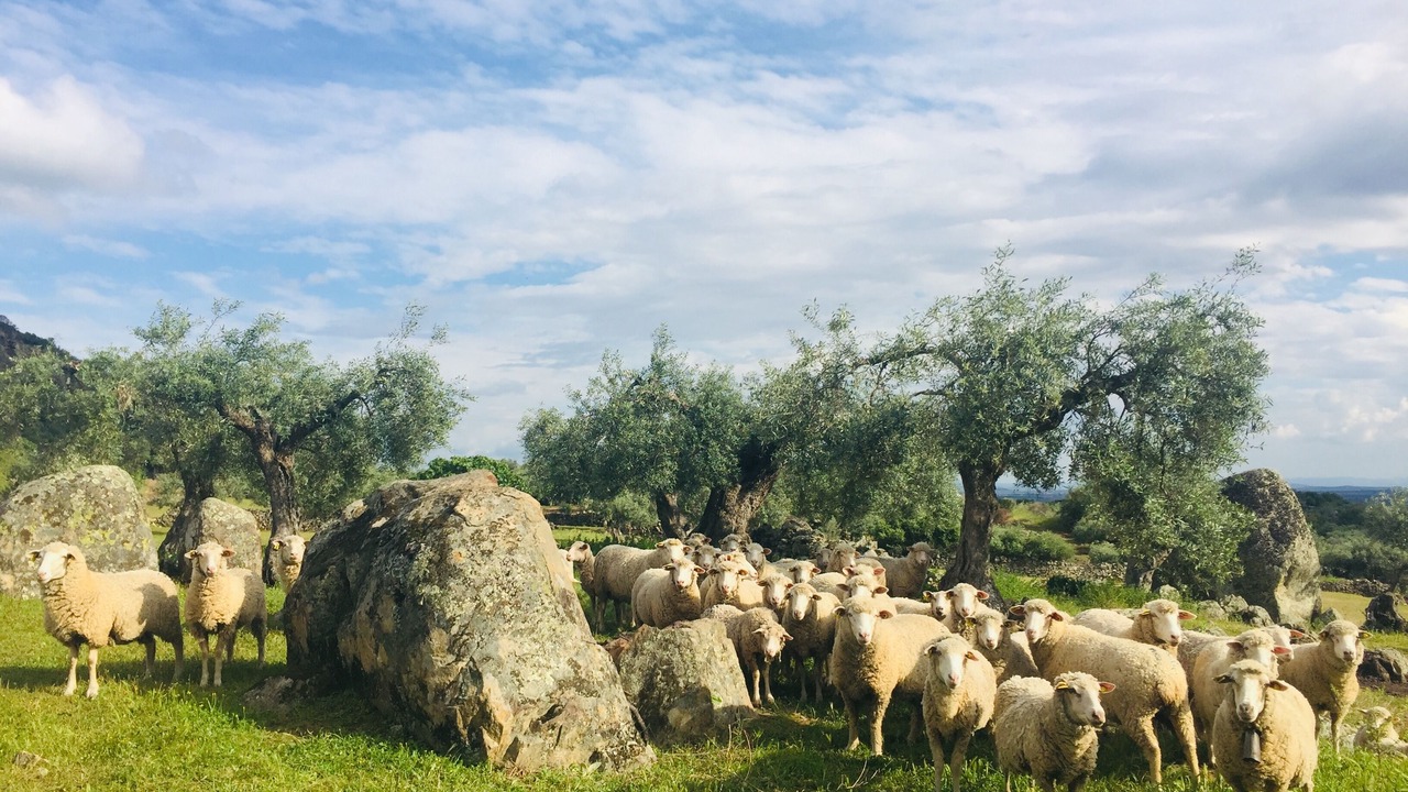 Photo of Outdoor in Almoharin