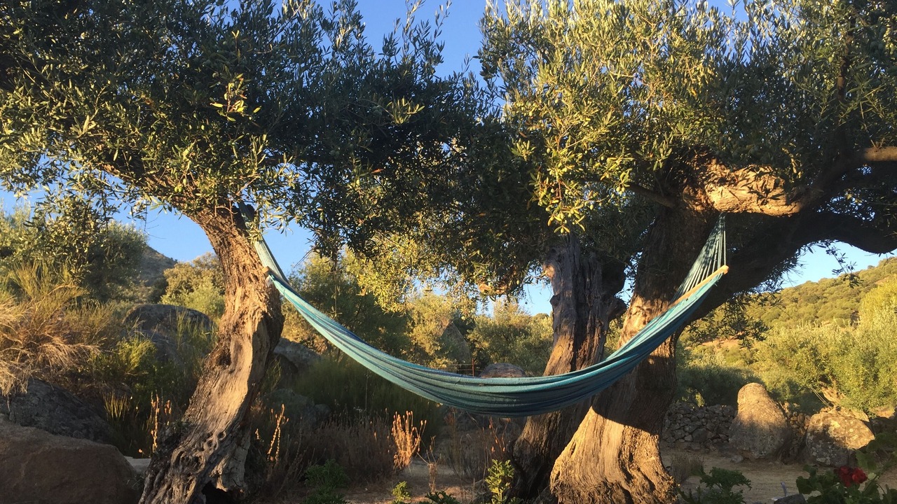 Photo of Outdoor in Almoharin