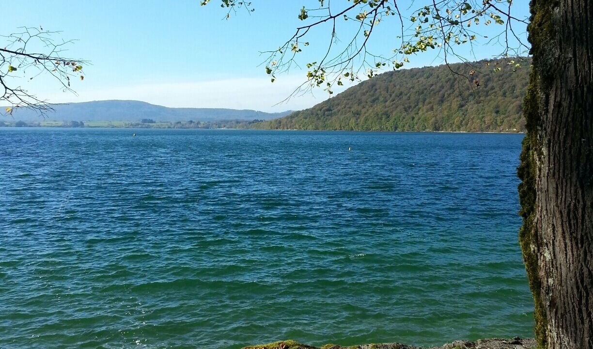 Photo of Outdoor in Poligny