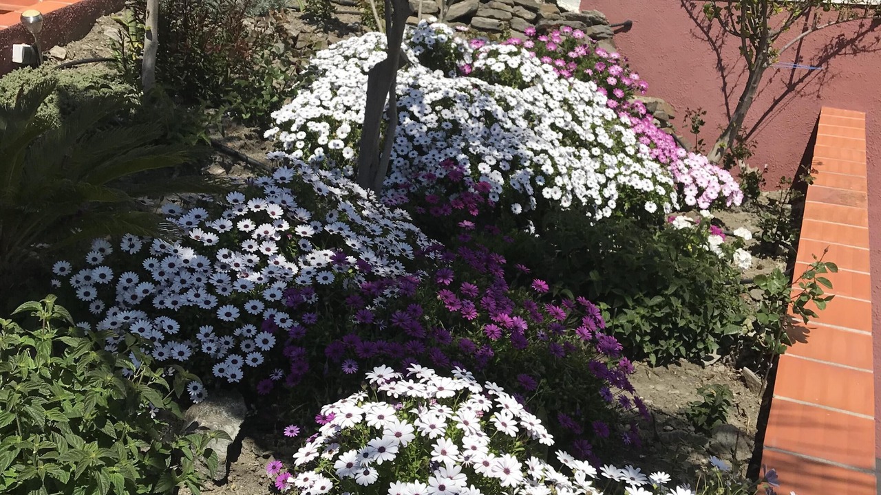Photo of Outdoor in Urbanizacion Ladera del Mar